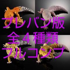 BANDAI - いきもの大図鑑アドバンス　ヒョウモントカゲモドキ　全4種コンプリートセット Amazon | いきもの大図鑑アドバンス ヒョウモントカゲモドキ