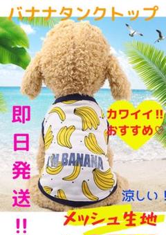 新品! 犬服 猫服 バナナ メッシュ タンクトップ わんちゃん 服 送料無料