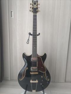 2025年最新】フルアコ ibanezの人気アイテム - メルカリ