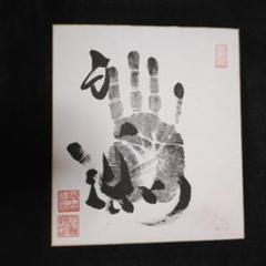 Amazon.co.jp: 大相撲 白鵬 第69代横綱 手形 サイン 横綱印入り