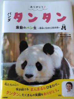 【レア】タンタン　王子動物園　5点セット　パンダ　グッズ　新品未開封含む美品 楽天市場】パンダ タンタンの通販