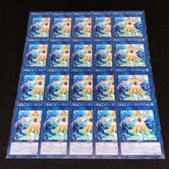 No.8117 遊戯王 海晶乙女コーラルアネモネ