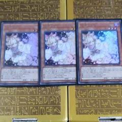 遊戯王 灰流うらら