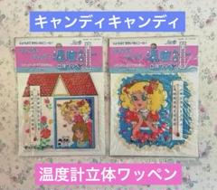 2025年最新】キャンディキャンディいがらしゆみこグッズの人気