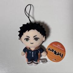 ハイキュー モーリー マスコットぬいぐるみ 7種セット - メルカリ