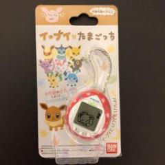 イーブイ たまごっち 未開封品
