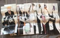 BLEACH ブリーチ　黒崎一護　朽木ルキア　護廷十三隊　ミニポスター　15枚