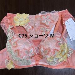 Yahoo!オークション - 【新品】wacoal サルート 47 ブラ ソング