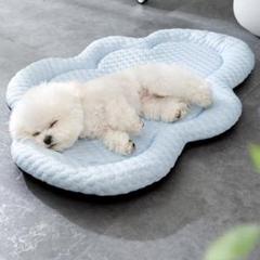 雲型 ペット用 クールマット S ひんやり滑り止め 洗濯OK　水色　犬　猫309