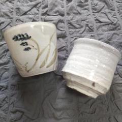 値下げしました　今井政之 　志野釉　鉄絵海老小鉢(そば猪口)5客揃 値下げしました 今井政之 志野釉 鉄絵海老小鉢(そば猪口)5客揃