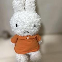 ミッフィー　お着替え　ぬいぐるみ