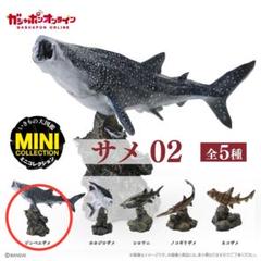 ♯Iti13AH不思議生物大百科大海の捕食者サメシークレット入全6種 ガシャポン ♯Iti13AH不思議生物大百科大海の捕食者サメシークレット入全6種
