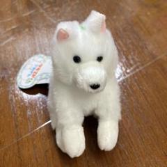 くったりサモエドくん VMCコンプリート ぬいぐるみ」くったりサモエドくんVMC（160個入） | 動物グッズ