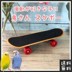 鳥 スケボー おもちゃ(□インコなどのペットに□バードトイ