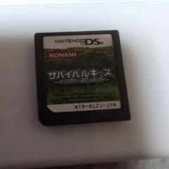 サバイバルキッズ LOST in BLUE 2 ニンテンドーDS