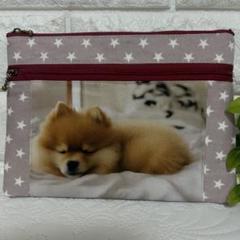 ポメラニアン　フラットポーチ　FFP-25 姫ポメちゃん　メイクポーチ　犬 ファー ポーチ ポメラニアン ふわふわ マルチポーチ 化粧