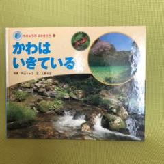 かわはいきている*チャイルド本社