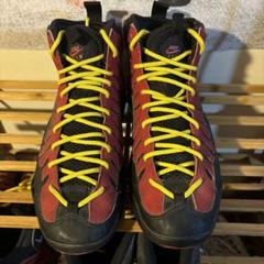 NIKE AIR BAKIN （2014） 27,5cm