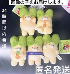 べじまるぬいぐるみセットフルーツ＆野菜セットキュウイ、イチゴ