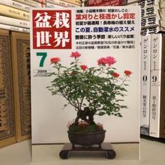 月刊近代盆栽別冊　現代盆栽技術の神髄　木村正彦の世界PART2 月刊近代盆栽別冊 現代盆栽技術の神髄 木村正彦の世界PART2