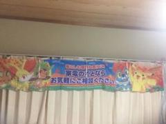 送料無料￼ 超レア　未使用品　ポケモンGO サファリゾーン フラッグ　バナー 送料無料￼ 超レア 未使用品 ポケモンGO サファリゾーン