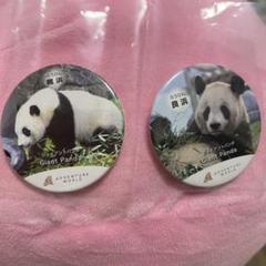 楓浜　良浜　ジャイアントパンダ 缶バッジ　アドベンチャーワールド　クレーンゲーム