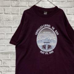 USA製90sヴィンテージTシャツ！シングルステッチ　パープル半袖古着XL79