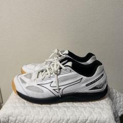 Mizuno バレーボールシューズ 27cm　サイクロンスピード