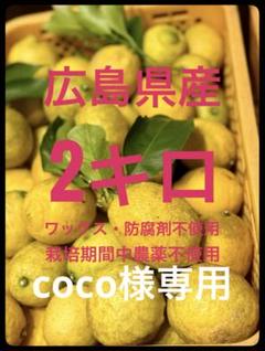 ラッキー！訳あり！国産！新鮮広島県産レモン約10キロ らんぺこ様専用！訳あり！国産！新鮮広島県産レモン約4.7キロ