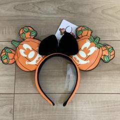 アメリカ ディズニー ラウンジフライ フローラル カチューシャ 再入荷！日本未発売 ディズニー ラウンジフライ カチューシャ