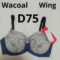ワコールD75　Wing