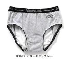 新品☆ALGY サニタリーショーツ下着 3枚セット ナイト用 生理ショーツ