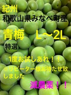特選 南高梅 青梅 減農薬 3Kg
