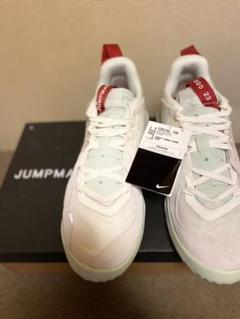 NIKE JORDAN DELTA ジョーダンデルタ セイル 29cm