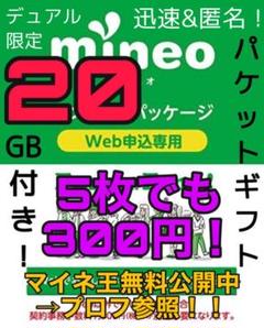 mineo エントリーコード マイネオ エントリーパッケージ デュアル限定