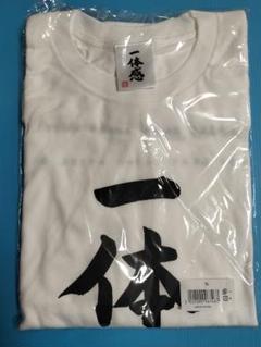 日向坂46 一体感 Tシャツ XLサイズ 未開封品 - メルカリ