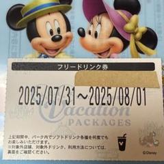 2025年最新】東京ディズニーリゾート バケーションパッケージの