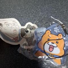 ねこに転生したおじさん