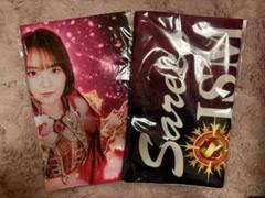 女子プロレス/Sareee選手のタオル2枚(非売品)(未開封) m20577779570_1.jpg?1743256614