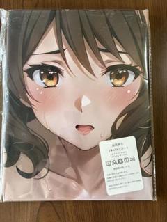 響け！ユーフォニアム 黄前久美子抱き枕カバー 3年生版/Z-M Pillows ♪響け！ユーフォニアム◇黄前久美子 抱き枕カバー◇【Z-M Pillows】