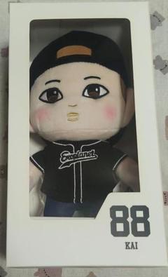 EXO - EXO カイ　公式トレカ　ネイリパ　レア　② EXO 2nd Album Repackage Love Me Right Official Photocard
