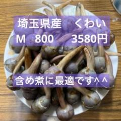白クワイ500g、広島県産産地直送家庭用サイズ混合農薬不使用 白クワイ500g、広島県産産地直送家庭用サイズ混合農薬不使用