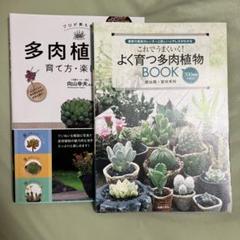これでうまくいく!よく育つ多肉植物BOOK 多肉植物の育て方・楽しみ方