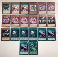 遊戯王 - 【植物族 デッキ】遊戯王/カード/セット/かいつんあお