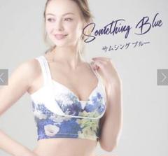 セレブラ cellebra LLサイズ ナイトブラ