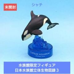 2025年最新】日本水族館立体生物図録の人気アイテム - メルカリ