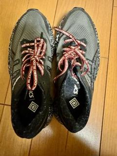 アシックス　エルドレッソコラボ　第二弾！ 完売モデル！Ｌサイズ 美品 ELDORESO」とコラボレーションしたランニングコレクション第二弾