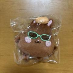 RIIZE 10cm doll ウォンビン　新品未開封 ウォンビン ぬいぐるみ 10cm 新品 マスター RIIZE - メルカリ