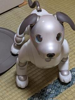 廃盤品 AIBO純正キャリングケース 未使用品 Yahoo!オークション -「bag」(AIBO) (バーチャルペット)の落札