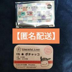 ポチャッコ 切符 E6 トレーディング缶バッジ キャラフルライナー2